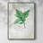 Fresh Basil Framed Print - Solid Wood-1892898468