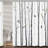 Rustic Birch Forest Shower Curtain - Neutral Grey Tree Design with Rowley Birds, Black and White Abstract Bathroom Decor, Hooks Included