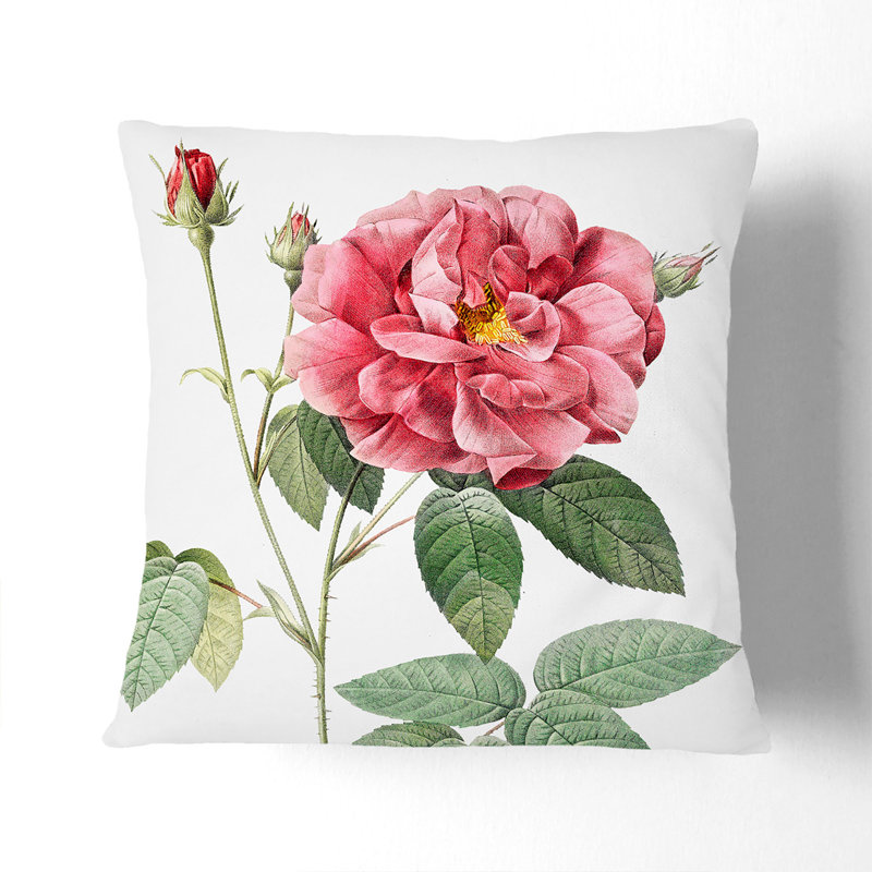 Floral Square Cushion, 40cm H x 40cm W x 15cm D, Pink/Green
