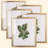 8X10 Picture Frame - Set Of 5, Matte Gold 8 X 10 Photo Frame With High-Definition Glass, Modern 8X10 Frame For Tabletop Or Collage Wall, Perfect Christmas Frame
