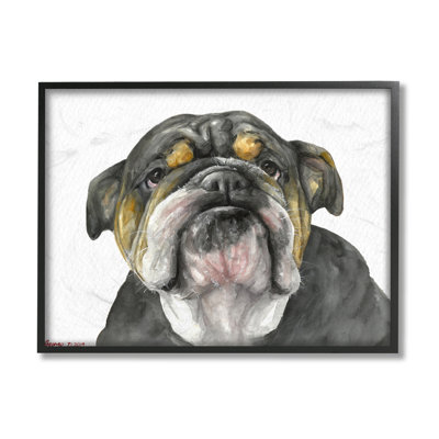 Charme de vieux chien Chubby Bulldog noir et brun