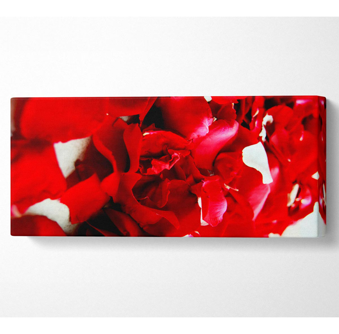 Red Galore - Kunstdrucke auf Leinwand - Wrapped Canvas