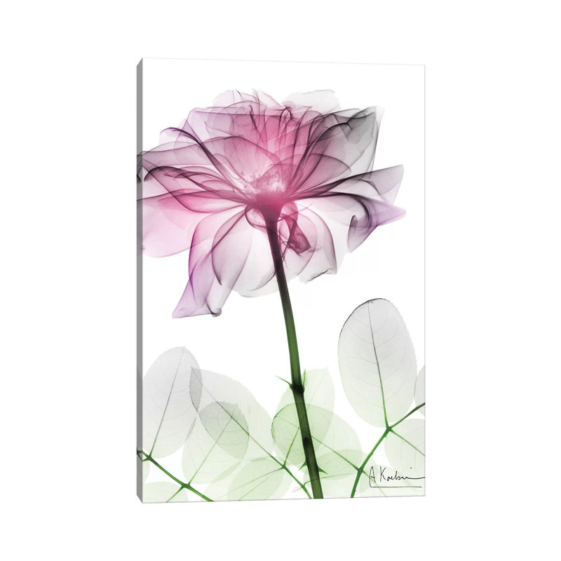 Rose Dynasty II by Albert Koetsier - Wrapped Canvas Print, 101.6 cm H x 66.04 cm W x 3.175 cm D