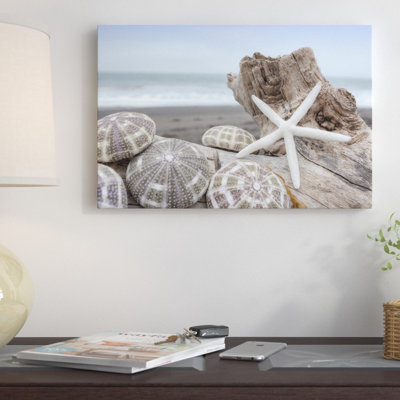 " Crescent Beach Shells V " Print