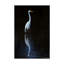 « élégant aigrette ii », reproduction de photo sur toile tendue-619550073
