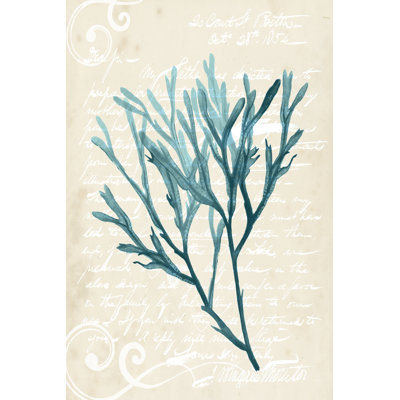 Teal Seaweed III by Grace Popp - Wrapped Canvas Art Prints