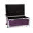 Manufactured Wood Camp Trunk / Footlocker-306112111