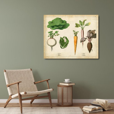 «August Grove®», œuvre d'art sur toile tendue, "Légumes de cuisine et racines I"