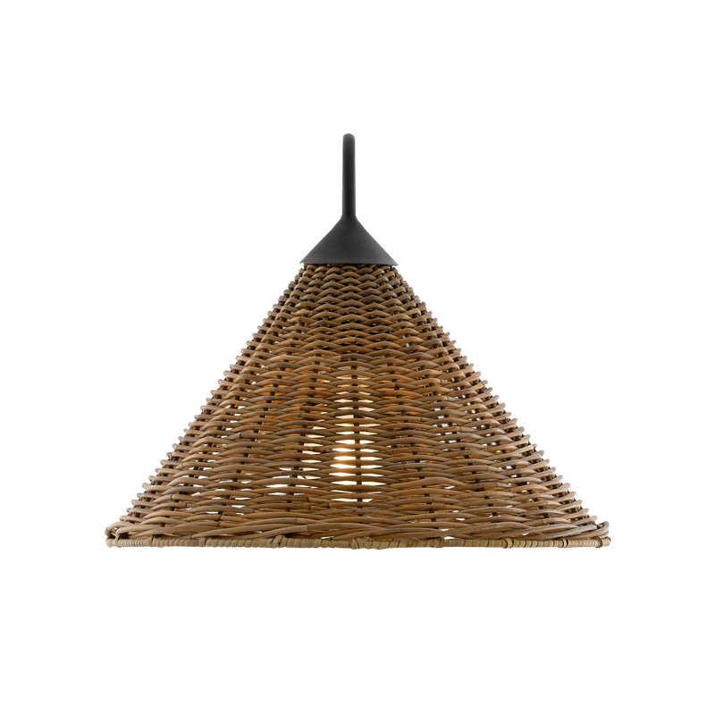Luminaire de grange noir à 1 lumière à intensité variable Basket