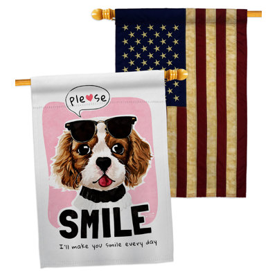 Double Sided 40'' H x 28'' W Polyester Animal House Flag