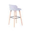 Kaylah Upholstered Counter Stool
