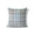 Blue Plaid 5