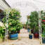 Treillage en fer Elier-2002993651-1981816066