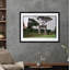 Roman Reflection Print by Tim Klein