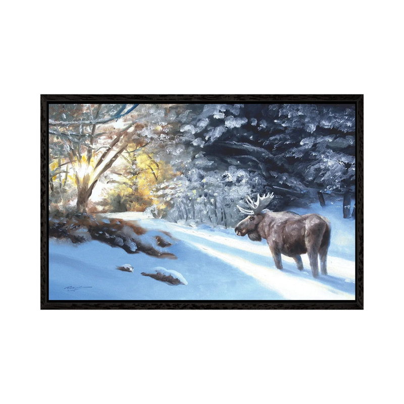 Moose In The Snow by D. "Rusty" Rust - Gallery-Wrapped Canvas Giclée on Canvas, Black Framed, 66.04 cm H x 45.72 cm W