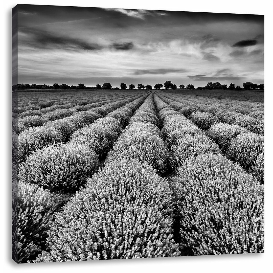 Leinwandbild Wunderschöne Lavendel Provence