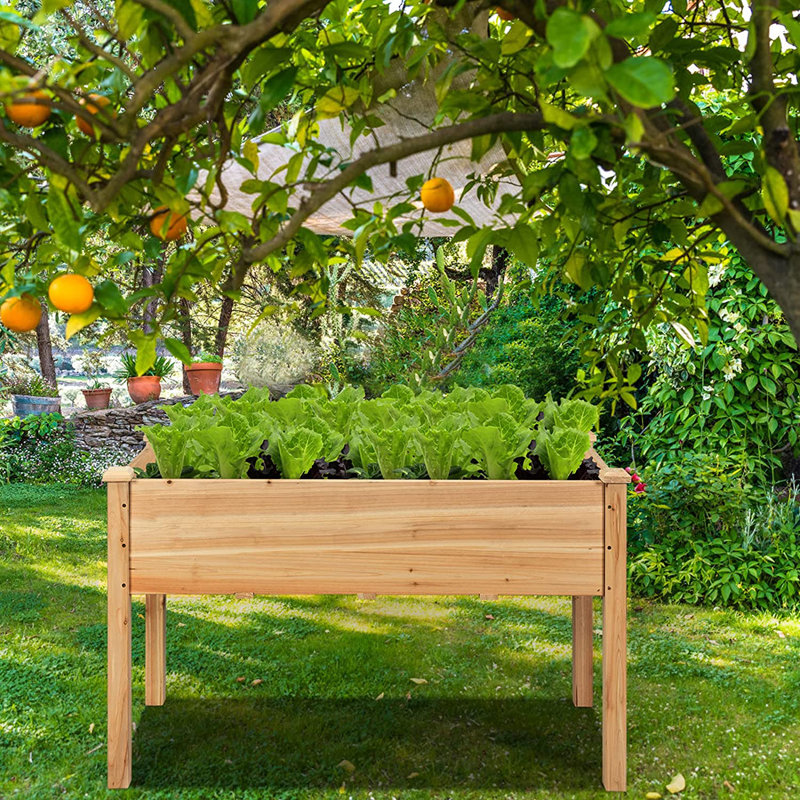 Camillus Wood Elevated Planter