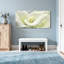 Plantes et fleurs, fleur de lys blanc Calla-316997951