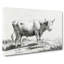 Curious Cow by Jean Bernard - Wrapped Canvas Drawing - Wrapped Canvas-55342789
