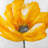 Beautiful flower - 32"x32" art on canvas