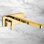Living Wall Mounted Bathroom Faucet with Drain Assembly