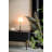 Orion Novelty Lamp