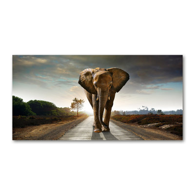 Strolling Elephant - Wrapped Canvas Print