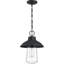 Luminaire suspendu d'extérieur 1 lumière Capsicum