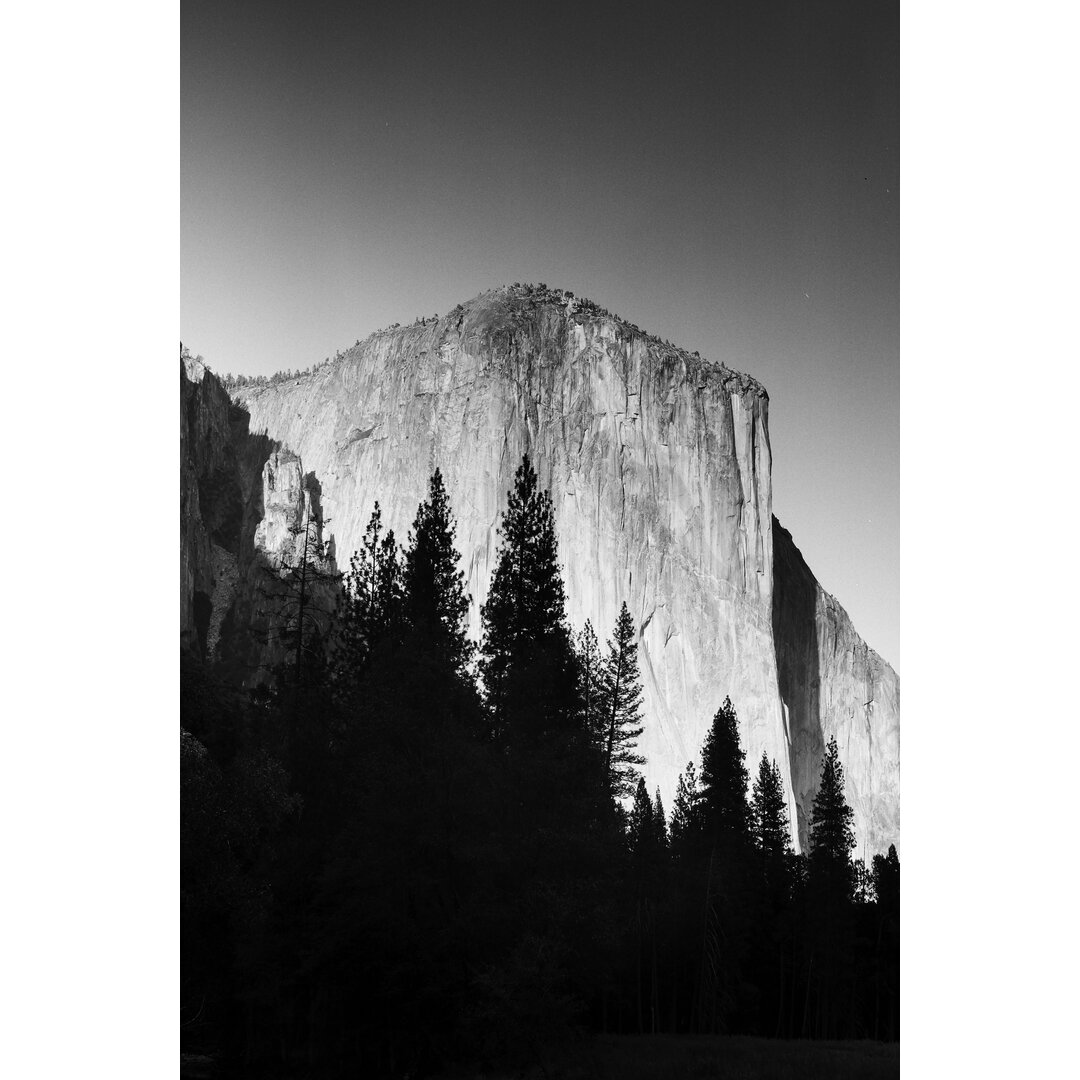 Leinwandbild El Capitan in Trees von Bradford Smith