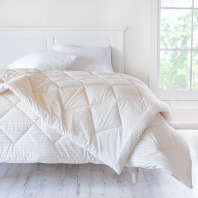 Beige Standard Cotton Comforter