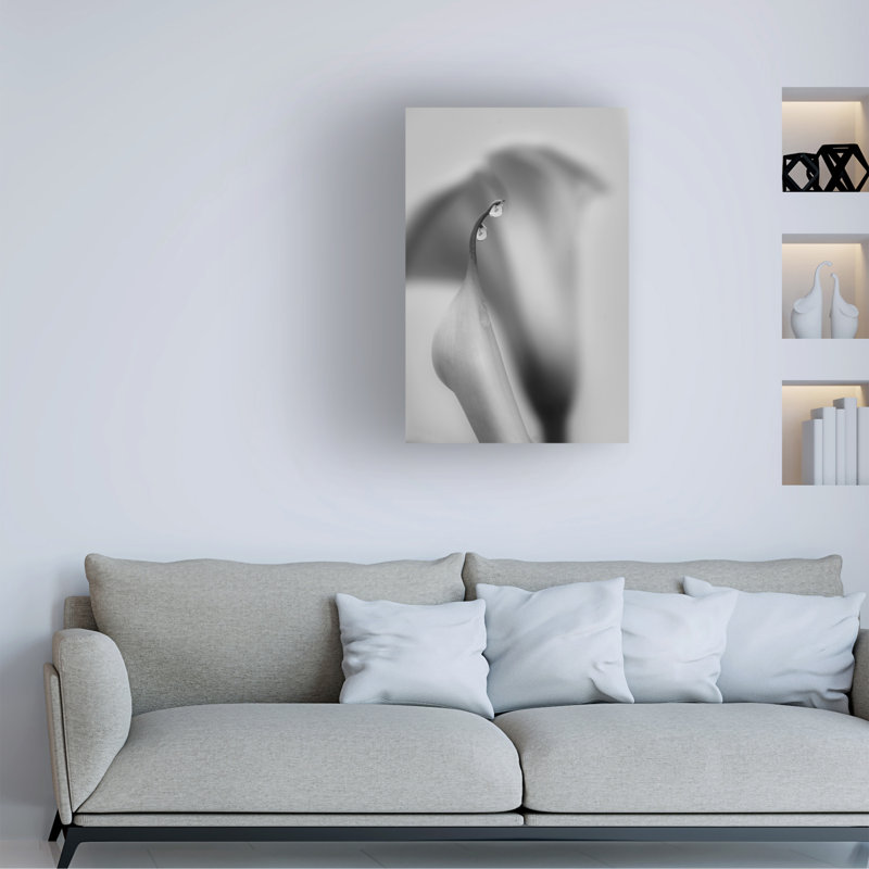 Modern & Contemporary, 47" H x 30" W x 2" D