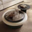 Pedestal Coffee Table with Storage
