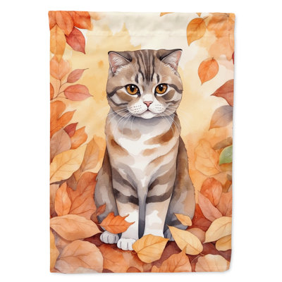 Chat en feuilles d'automne