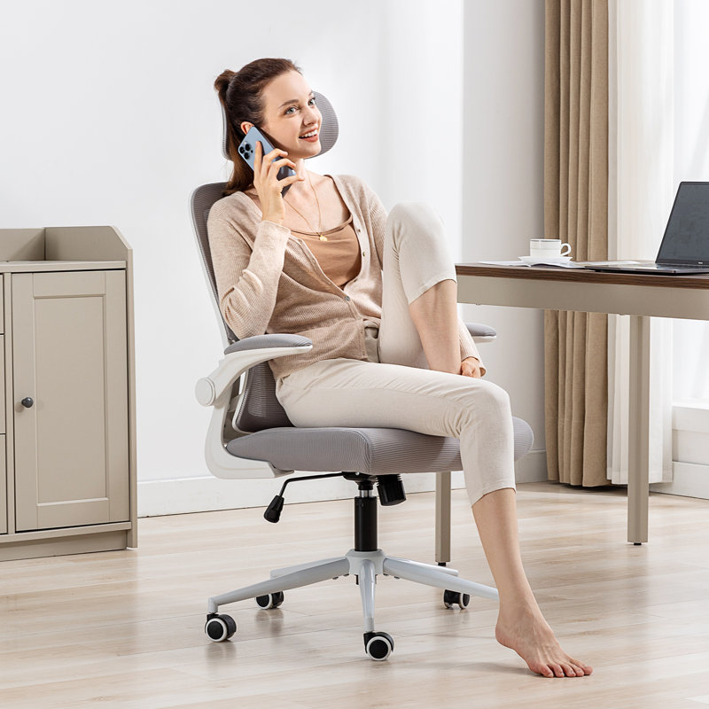 Tunney Ergonomic Height-Adjustable Mesh Office Chair with Headrest, Grey