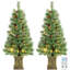 Ensemble de 2 arbres de Noël artificiels pré-éclairés 4 pi, 2 pins de Noël, deux couleurs, télécommande, vert