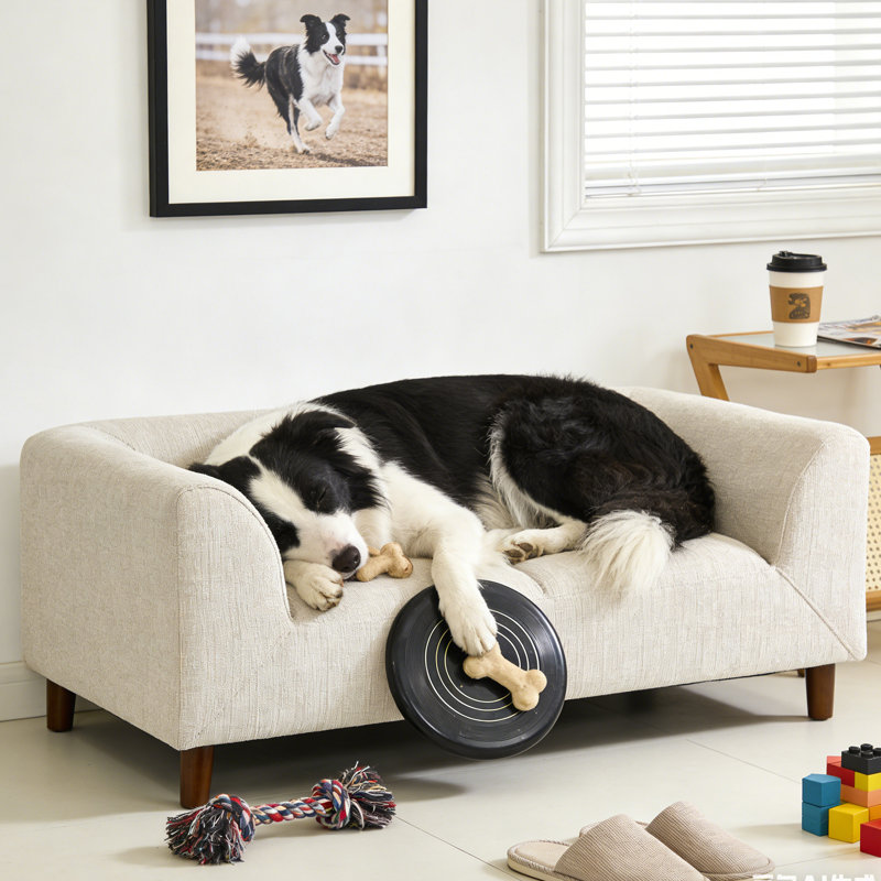 Canapé surélevé pour chien avec dossier et accoudoirs - Lit moderne pour animaux de compagnie pour chiens de taille moyenne, coussin moelleux, pieds robustes en bois massif, capacité de poids de 60 lb, fabrication en tissu de première qualité et mousse