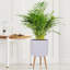 Concrete Effect Cylinder Round Planter on Hardwood Legs, Round Indoor Plant Pot Stand for Indoor Plants, Indoor Flower Pot with Ribbed Pattern-77187022-77187017