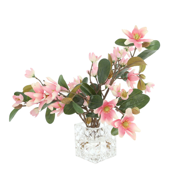 Magnolias disposés dans un vase en verre, Rose / vert / brun