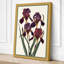 Purple Iris Study Botanical 1 Piece Wrapped Canvas Wall Art-2001047762-2001047767