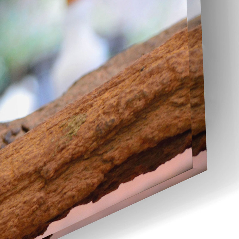 'Koala' by Epic Portfolio, Acrylic Glass Wall Art, 16'' H x 24'' W x 0.2'' D