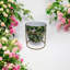 Pot Planter