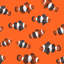 Papier peint Clownfish