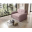Sarlota 2 Seater Sofa Bed-2046638869