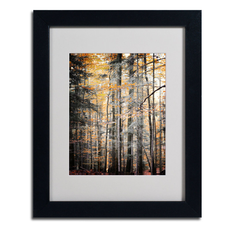 « tons », reproduction de photo sur toile encadrée Halke, H 14 po x l 11 po x P 0,5 po, Noir