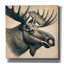 Toile épique «Moose Head» par Rey Klimt-108585427