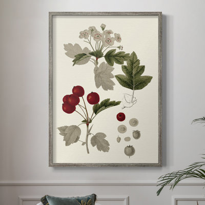 Leaves & Berries III Framed Print - Solid Wood