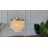 Dickison 3-Light 13" Capiz Shell Chandelier 5 Tiered Coastal Seashells Pendant Light-1129985506