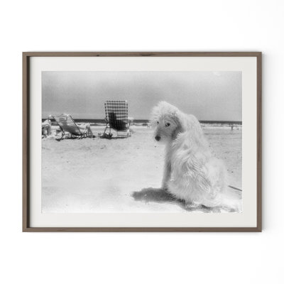 Lois At The Beach Print by Barbara Alper