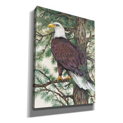 «Eagle In The Pine» par Tim O'toole, art mural sur toile