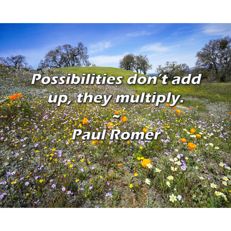 Citation de Paul Romer: Les possibilités ne s'additionnent pas, elles se multiplient.